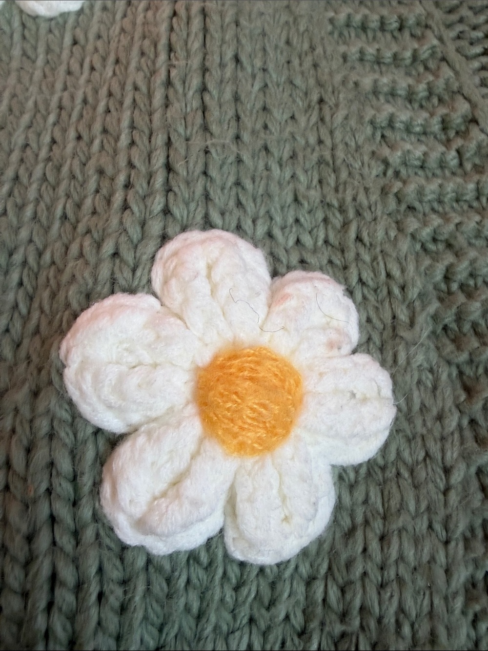 Daisy Appliqué Knit Cardigan Sweater - Sage Green - Picture 3 of 6